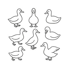 set of duck line art vector illustration