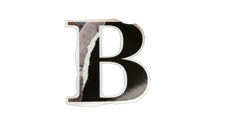 Torn Paper Letter B with Black and White Texture.