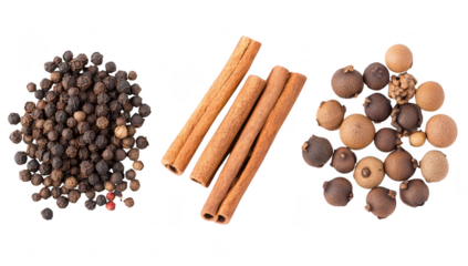 A arrangement of various spices including black pepper. cinnamon sticks. and dried fruit pods on a clean white background. ideal for culinary or health-related content