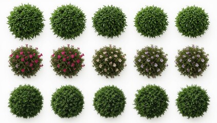 A grid layout showcasing various spherical topiary plants, including vibrant blooms of pink and purple flowers, set against a clean white background.