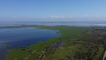 Aerial drone view river lake in middle trees blue sky near to sea, Cienaga, Colombia 