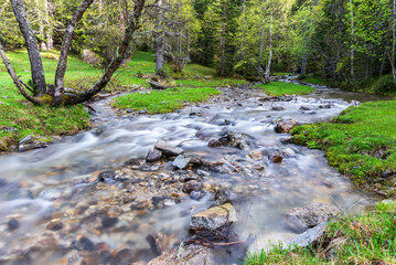 Silky forest stream over mossy rocks in tranquil green setting with fallen tree trunk. Clear mountain creek cascading over mossy rocks in a vibrant green forest. Waterfall in the forest.