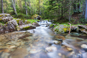 Silky forest stream over mossy rocks in tranquil green setting with fallen tree trunk. Clear mountain creek cascading over mossy rocks in a vibrant green forest. Waterfall in the forest.