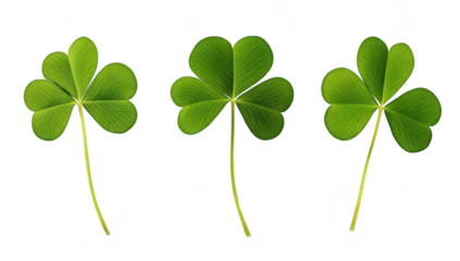 Three green clovers arranged in a row on a clean white background. symbolizing luck and nature. ideal for use in seasonal or botanical-themed designs