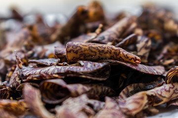 Close-up shot of dried betel nut pieces, showcasing intricate textures and patterns.  The image is sharply focused on a pile in India, Karnataka.