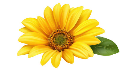 A yellow sunflower with lush green leaves. its intricate details and natural beauty. set against a clean white background. perfect for nature-themed projects or designs