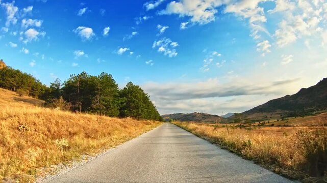 POV drive, beautiful summer nature, golden fields, grove, blue sky sunny day