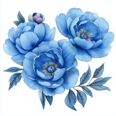 Watercolor bouquet of blue peonies. Wedding arrangements, stationery, invitations, cards, decoration, fashion. Hand drawn illustration.