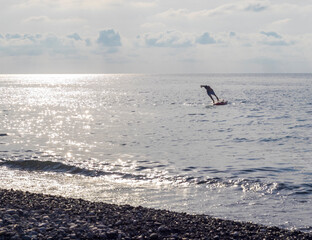 Young boy dives into the sea from the puddle board. Fun