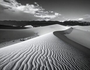 Desert dune landscape