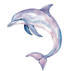 Obraz premium A beautifully illustrated dolphin gracefully swimming through clear blue waters. its sleek form and playful nature. surrounded by hints of marine life in a serene underwater environment