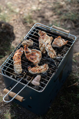 grilled chicken pieces cooking over a charcoal barbecue grill outdoors in a natural setting, showcasing the contrast between the browned, smoky meat and the surrounding earthy tones, nature, breeze