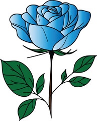 Blue rose vector illustration isolated on a white background