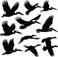Obraz premium Vector art of a flock of pelicans in flight, silhouetted against an, showcasing their wingspan and graceful movement in the sky