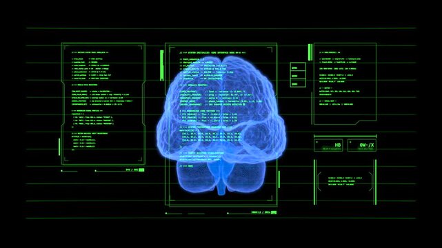 Brain scan HUD information