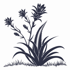 globe thistles white