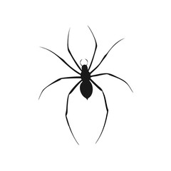 Minimalist Black Spider Silhouette with Spindly Legs  Vector Digital Illustration