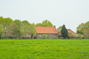 Obraz premium Lush green meadow with old brickwork farm and trees near Ghent, Flanders, Belgium 
