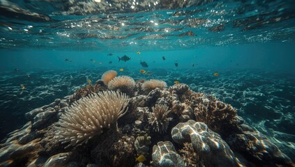 Fototapeta premium A vibrant underwater scene showcases a coral reef teeming with life, showcasing the rich biodiversity of the ocean depths.