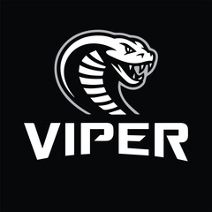 a snake vector design 