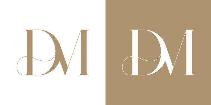 DM Logo Vector Illustration , Initial Logo for Brand Company