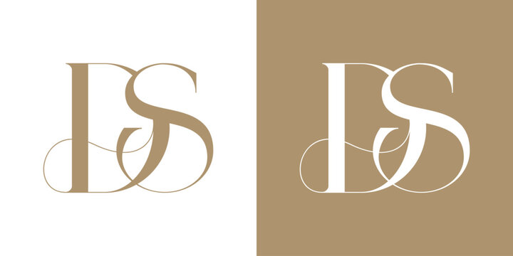 DS Logo Vector Illustration , Initial Logo for Brand Company