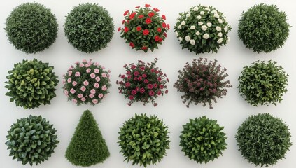 Various decorative plants and flowers in different shapes and colors, arranged in a grid pattern against a plain background.
