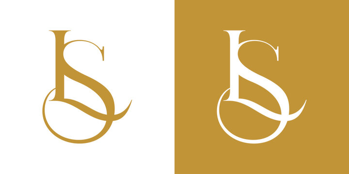 LS Letter Abstract Logo Vector Illustration