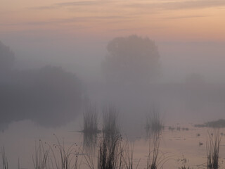 fog and frost on the lake 