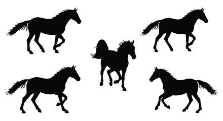A collection of equine figures in various poses a striking silhouette