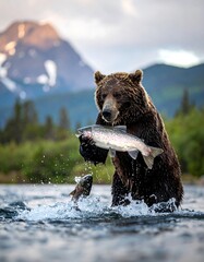 Grizzly bear fishing