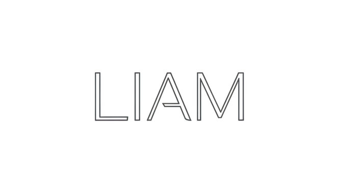 Elegant Minimalist Text Design Featuring the Name Liam With a Transparent Background