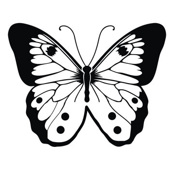 butterfly silhouette vector