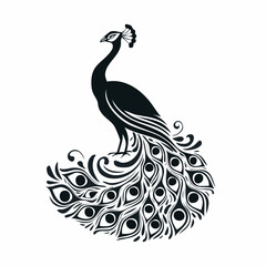 Majestic Peacock Silhouette