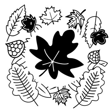 vector illustration of a set of flowers
