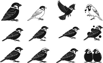 Bird silhouette vector set, flying and perched poses, wildlife illustration, nature clipart for art, design, education, species study, and decor