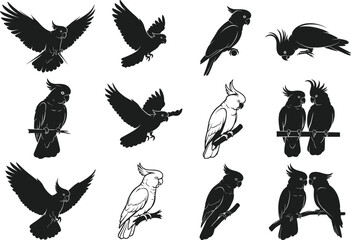 Cockatoo vector collection, diverse bird poses, silhouette and line art, nature illustration, black and white, artistic bird representation