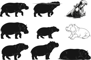 Hippopotamus silhouette vector set, walking and resting poses, wildlife motion study, animal illustration, nature clipart for animation, education, and design