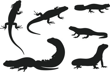 Lizard silhouettes vector set, reptile species collection, black animal shapes, wildlife illustration, herpetology design, isolated lizards, nature clipart