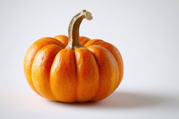 Fresh Orange Pumpkin on White Background for Harvest and Halloween
