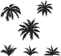 palm tree silhouettes