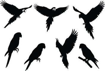 Parrot silhouette vector set, flying bird shapes, perched parrots clipart, tropical wildlife illustration, exotic animal design, black bird collection