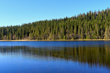 Langtjernet Lake of the Totenåsen Hills, Norway.