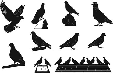 Pigeon silhouette vector set, flying, perched, walking poses, rooftop and branch scenes, wildlife bird illustration, nature clipart for art and design