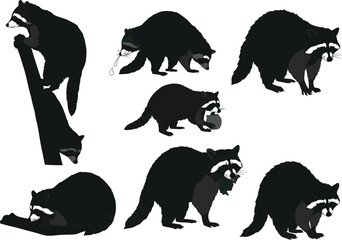 Raccoon silhouettes in dynamic poses—climbing, eating, walking, and playing—ideal for wildlife vector art, nature designs, and educational illustrations.
