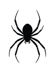 Black silhouette of a spider on a white background