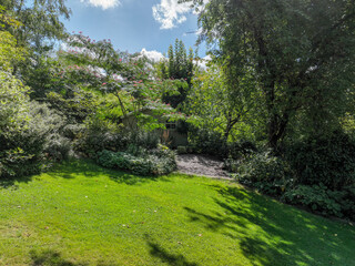 English green garden multiple type of trees and plants during sunny summer season