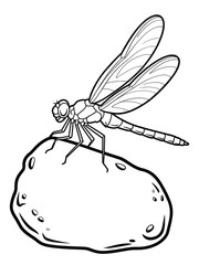 Line drawing of a dragonfly resting on a smooth rock