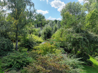 English green garden multiple type of trees and plants during sunny summer season