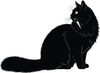 Black cat silhouette, fluffy feline vector, sitting pet illustration, whiskers and ears detail, white eyes contrast, animal clipart, isolated graphic